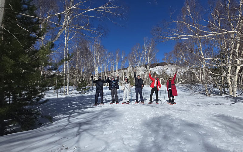 Immagine galleria 13