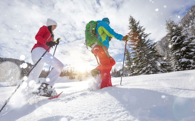 Immagine galleria 12