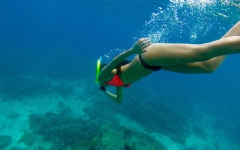Snorkeling-tour-nella-costa-di-Giardini-Naxos-ed-Isola-Bella