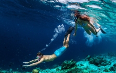 Tour Snorkeling-nelle-acque-cristalline-di-Taormina